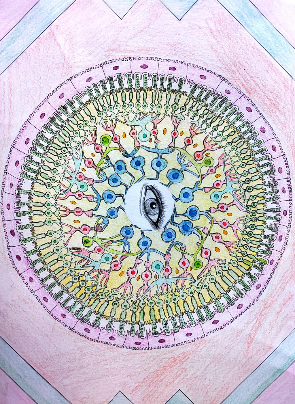 4.手绘 作品分类1《视网膜万花筒》91吃瓜
 代逸凡