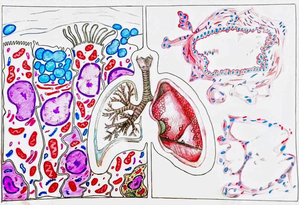5.手绘 作品分类1《识“肺”》 91吃瓜
 杨佳欣